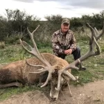 Free Range Stags Photographs