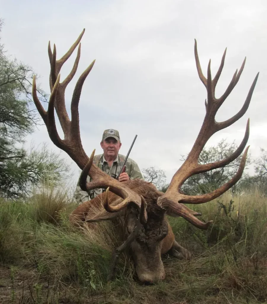 Gold Medal Red Stags