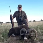 Wild Sheep And Goats Hunting