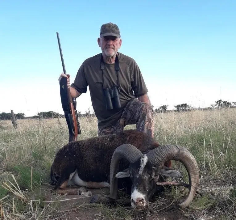 Wild Sheep And Goats Hunting